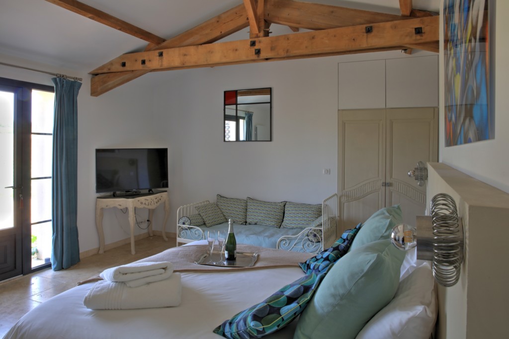 Suite Vignoble — vineyard view